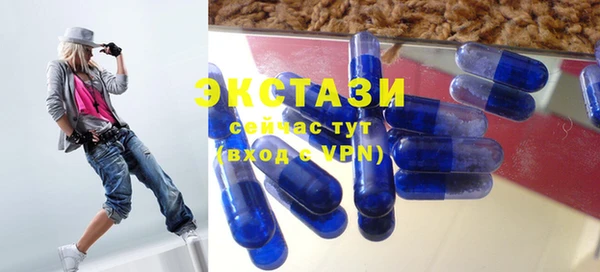 индика Елизово