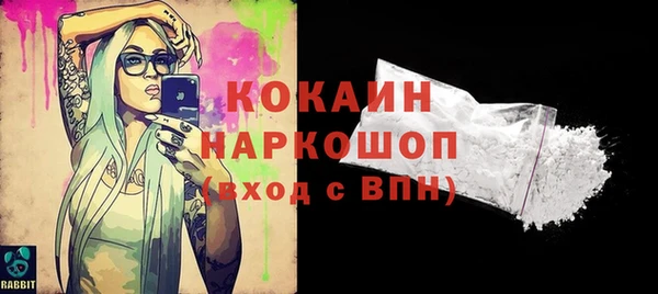 индика Елизово