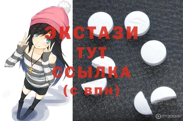 индика Елизово
