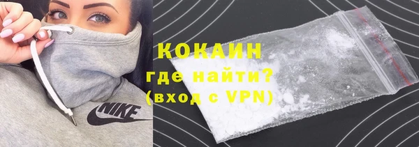 индика Елизово