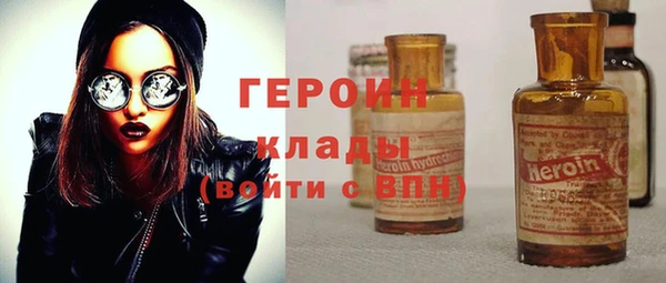 индика Елизово