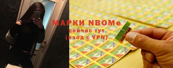 индика Елизово
