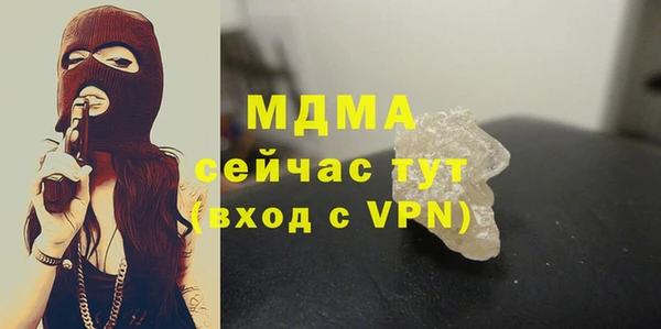 индика Елизово