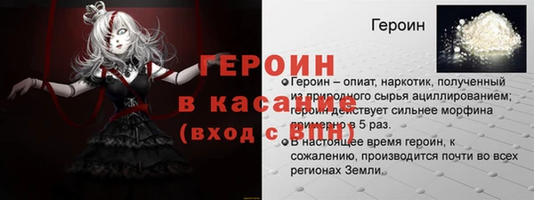 индика Елизово