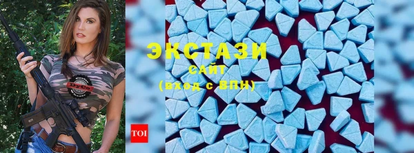 индика Елизово