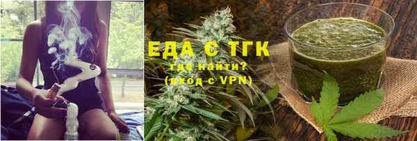 индика Елизово