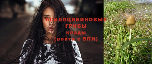 индика Елизово