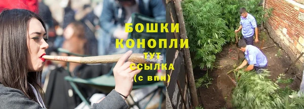индика Елизово