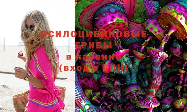 твердый Елабуга