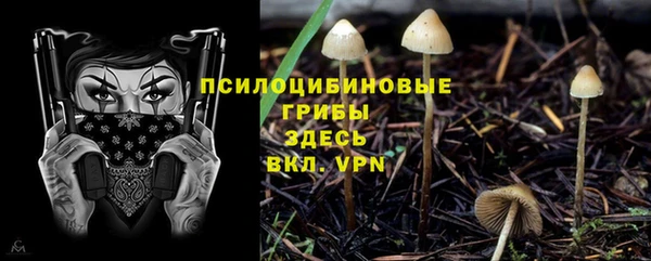 твердый Елабуга