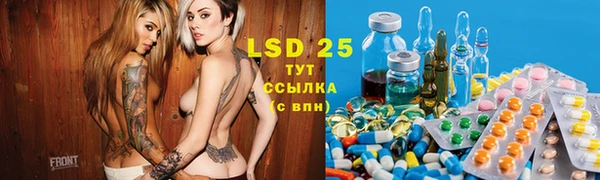 индика Елизово