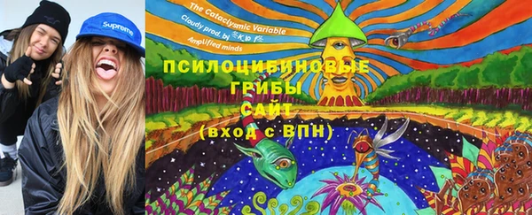 марки lsd Белая Холуница