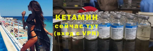 индика Елизово